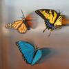 Yousheng 3D Printed Butterfly Refrigerator Magnet DIY Home Kitchen Locker Fridge Monarch Tiger Swallowtail Blue Butterfly Magnetic Decoration Ornament