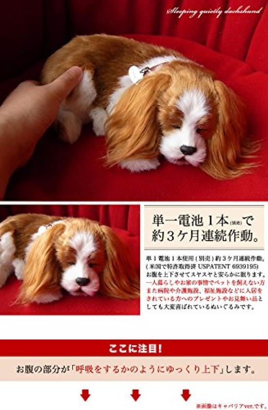 Ниниан и Кино Идеальный Питомец Кавалер Кинг Чарльз Спаниель Плюшевый Мягкий Идеальный Милый Пес Мягкая Игрушка (Маленький) Собака, Реалистичный, Как живой, Похожий на животное