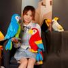 Simulation Color Parrot Doll Plush Toy Bird Parrot Doll Boy Soothing Rag Doll Birthday Gift