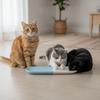Long Multi-Cat Shared Eating Bowl Ceramic Dog Food Water Container  for Kitten/Puppy/Bunny