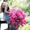 5Pcs Realistic Blooms Artificial Bougainvillea DIY Faux Triangle Plum Home Decoration