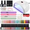PHOENIXY 20 Colors Gel Nail Polish Set Pure Color Hybrid Varnish Kit With 36W UV LED Lamp Manicure Nail Art Tools Set For Beginner