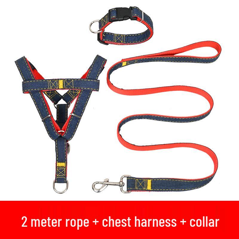 Multi-Size Dog Leash & Collar Set for Walking - Suitable for Small To Large Breeds