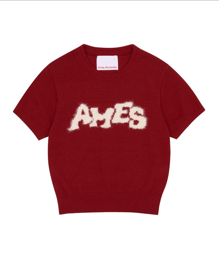 AMES-WORLDWIDE Hairy Logo Short Sleeve Knit Red