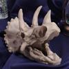 Resin Simulated Dinosaur Skull Decorative Animals Skull Decoration Fish Hiding House  Fish Tank