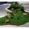 1Set For Potted Plants Simulation Moss Flower Moss Fake Grass Durable Green Moss