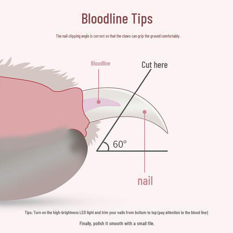 Светодиодные кусачки для ногтей домашних животных с функцией позиционирования, препятствующей попаданию крови. В комплект входят маникюрные принадлежности для кошек и собак.
