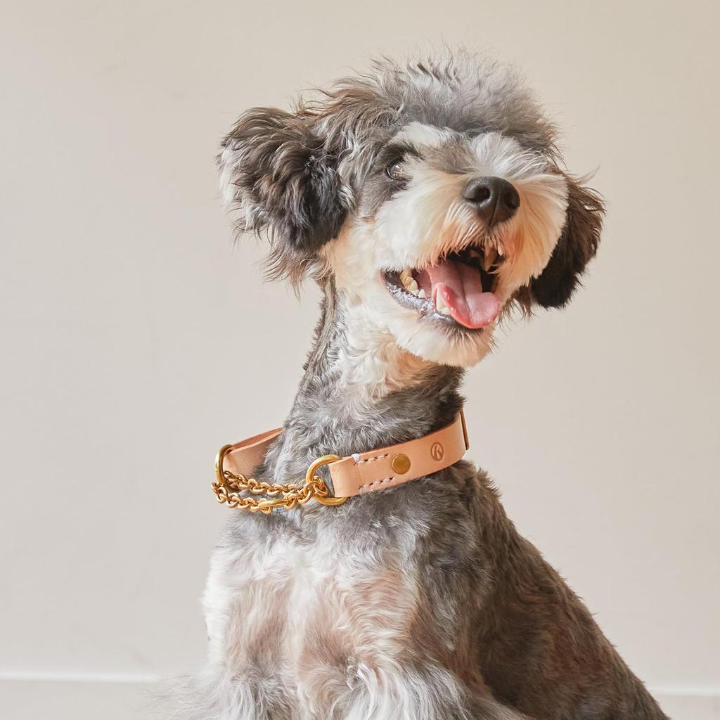 We Original Leather Half Chain Collar Natural for Large Dogs GOOD MANNERS DOG SERIES - (L) /