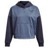 Under Armour Womens/Ladies Colour Block Hoodie