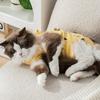 Cartoon Print Cat Recovery Suit Elastic Neck Back Bandage Breathable Cat Onesie Surgery Recovery Suit Female Cat Spay Recovery Suit