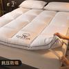 Hotel Special Mattress Thickened Home Mat Single Bed Double Mattress Dormitory Students Rent Special Mattress Soft Cushion