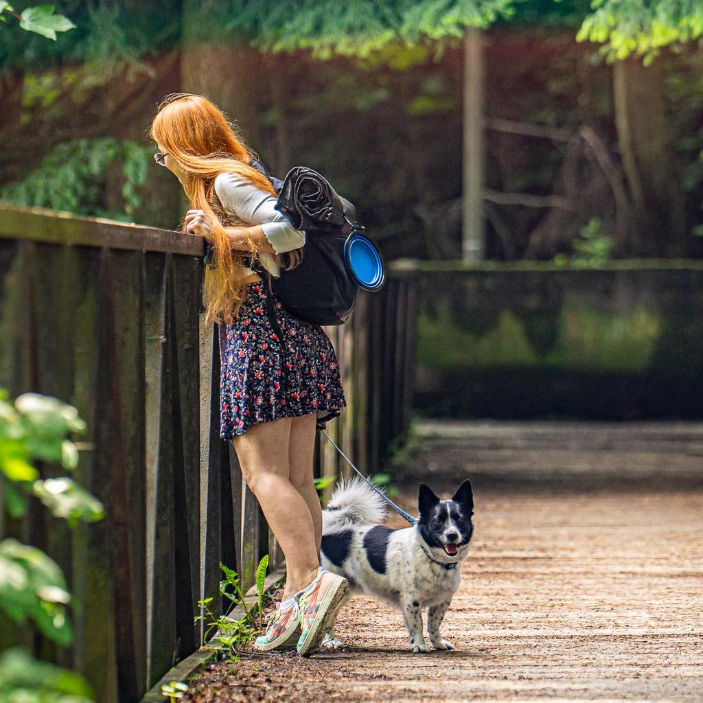 Folding Bowl for Dog 300ml Silicone Blue, for Walking and Travel