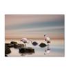 Flamingo Large Carpet Feather Wind Bedroom Floor Mat