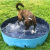 No Inflatable Foldable Pet Pool Easy Clean Puppy Outdoor Play Tub