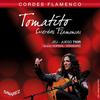 SAVAREZ Classical Guitar Strings Tomatito T50R