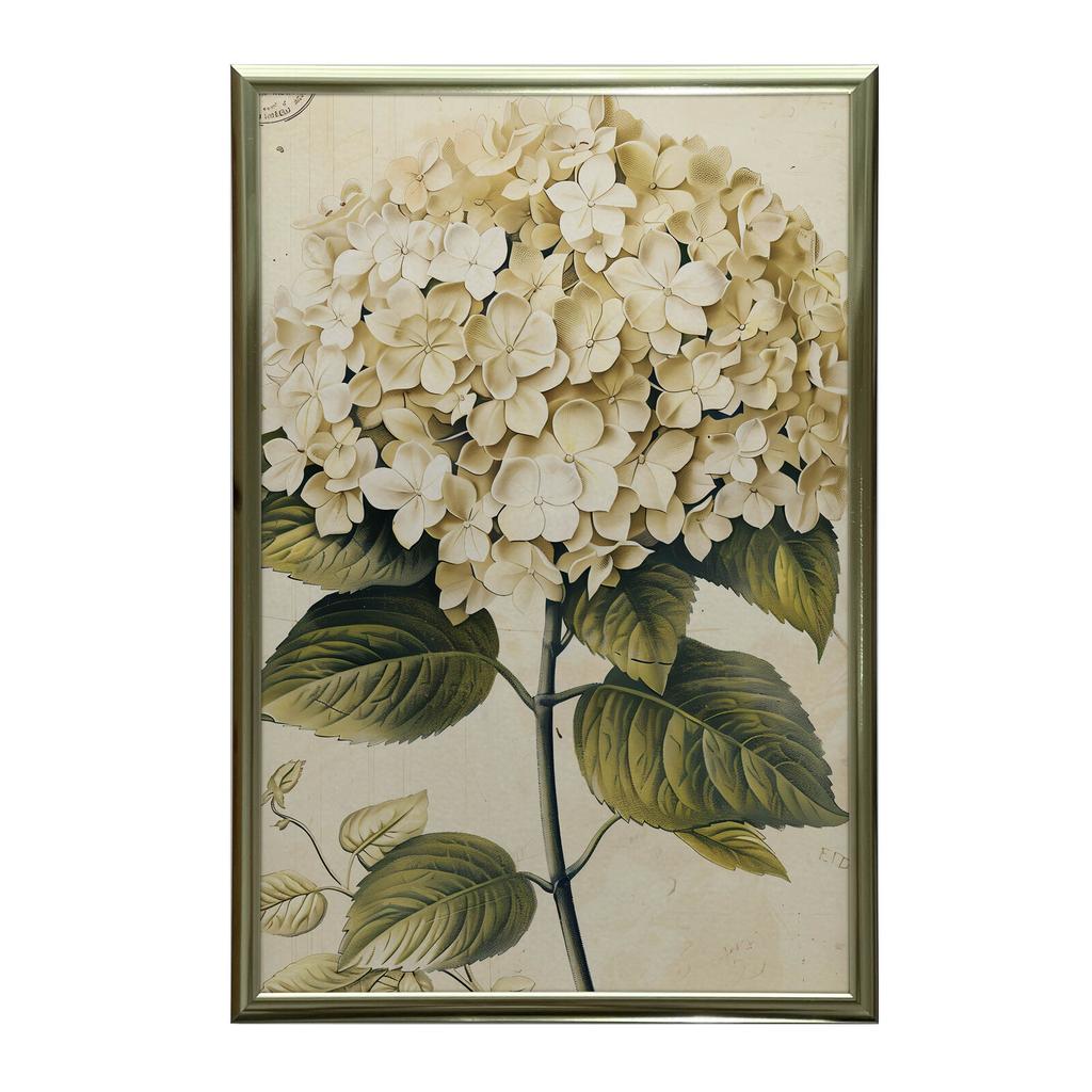 Klasyczna Hortensja Klasyczna Hortensja, 50X70 Cm, Bez Ramy, Papier Matowy 230 Gsm