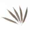 10Pcs Natural Pheasant Tail Feathers Female Forest Chicken Feathers Fordiy Crafts Floral Arrangement Wedding Costume Accessories