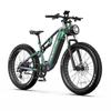 DUOTTS E26 Electric Bike750W 48V20AH Lithium Battery Hydraulic Brake Electric Bicycle 26*4.0-In Fat Tire E-bike