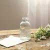 Ins Style Nordic Simple Transparent Flower Pot Table Decorative Hydroponic Terrarium Glass Vase