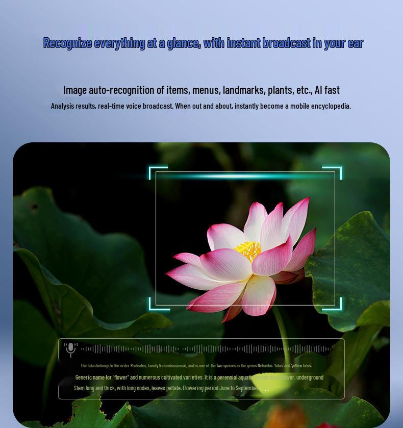 HD 800W AI Smart Glasses: Photo Recognition, Video Recording, Image Stabilization, Translation.