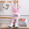 RabbitEar Rudolph Doll Festival Decoration Gnome Figurine Seasonal House Decor Bedroom Kitchen Ornament Easter Layouts