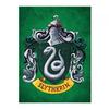 Slytherin Canvas Print