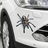 Стильный милый крутой паук 3D автомобильные наклейки мультфильм творческая личность украшения наклейки