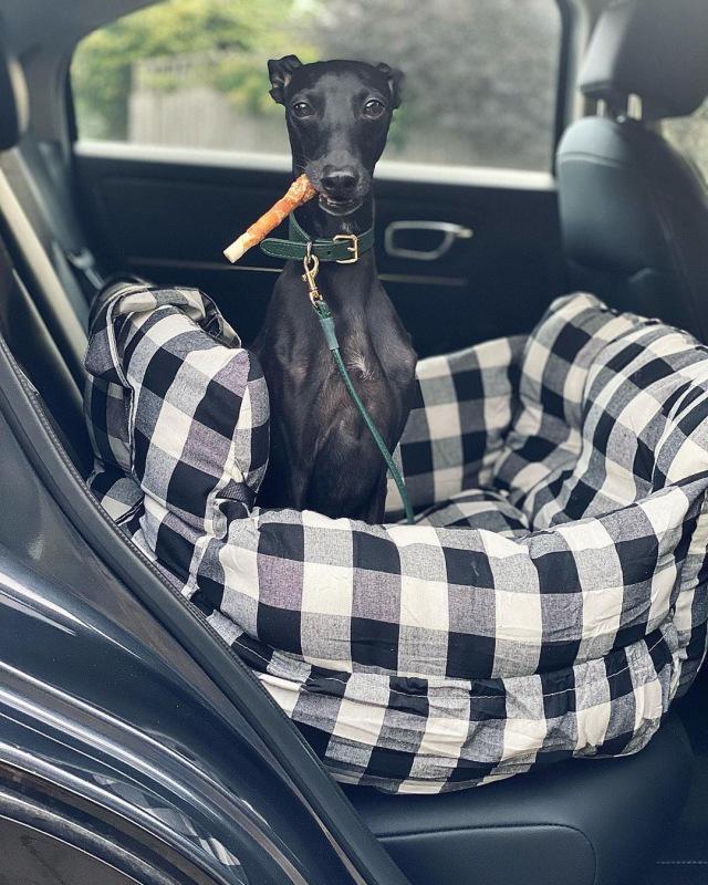 Portable Multi-Purpose Pet Car Bed for Small and Medium Dogs