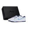 Dunk LOW RETRO Нескользящие Низкие Кеды для Скейтборда Мужские Сине-Белые HF5441-117(Team80-S-BOX)