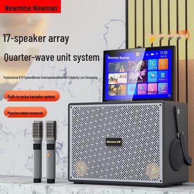 Портативная Bluetooth-система караоке-динамиков Newman N525, китайская вилка (адаптер в комплекте)