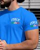 Italy T-Shirt, Italian T-Shirts, Italy Flag Tee, Italian Pride Shirt