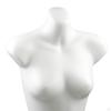Female Mannequin Torso Women Body Form Professional Manikin Bra Display Underwear