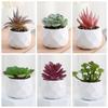 Fake Plants Succulents Bonsai Cactus Small Potted Plants Mini Bonsai Plants  Home