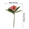 Real Touch Artificial Plumeria Flowers DIY with Green Leaves Simulation Frangipani Branch Multicolor Photo Props