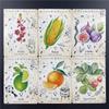 Green Witch Oracle Cards English Edition 44 Cards Plant Herbal Oracle Deck for Women