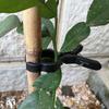10pcs Plant Gripper Clip Supplies Vine Clip Tomato Clips Plant Trellis Clips for Gardening Clamp for Vine Clamp for Tomato Vines Garden Supplies Black