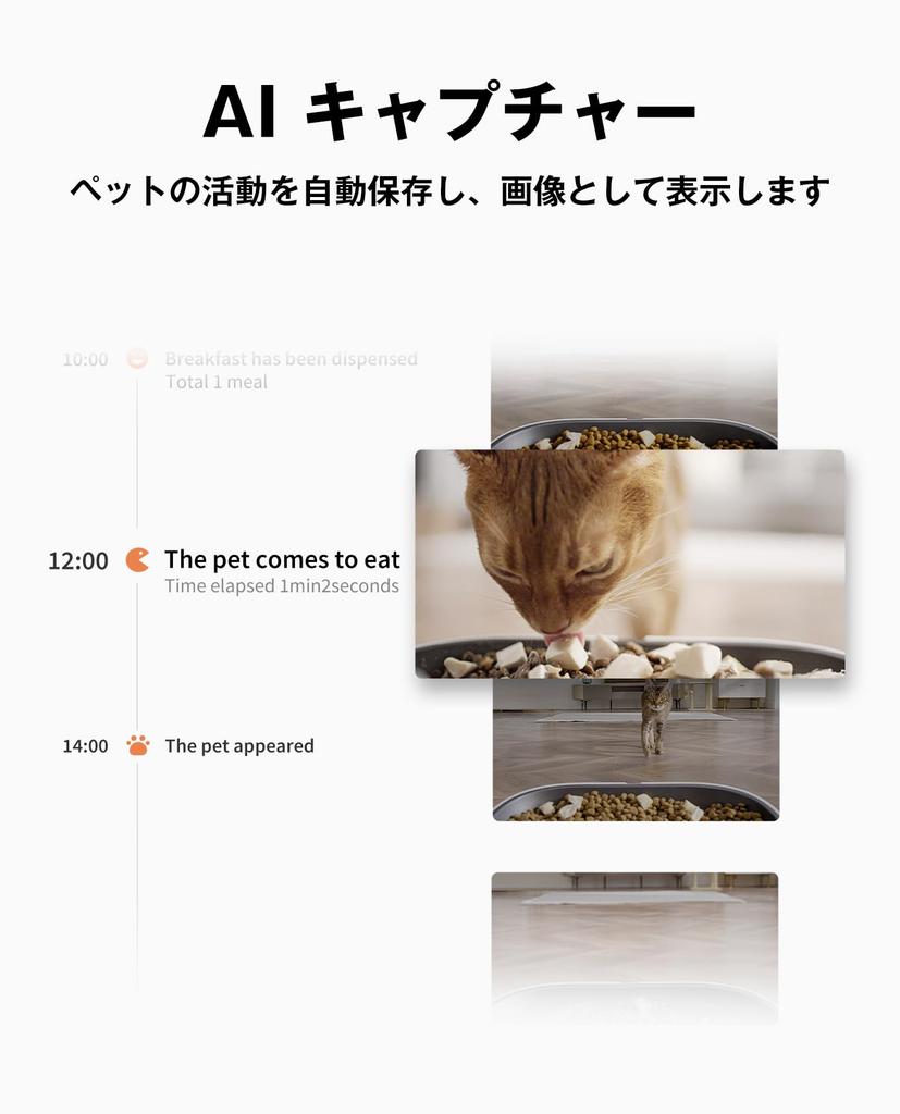 Petkit Автоматическая кормушка для кошек и мелких животных и камера 1080P ночное видение прозрачный таймер обнаружения смартфон питание IOS и Android японский