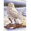 DIY Owl 5D Diamond Painting Animal Diamont Embroidery Mosaic Cross Stitch Full Round Drill Resin Home Decor Manual Gift