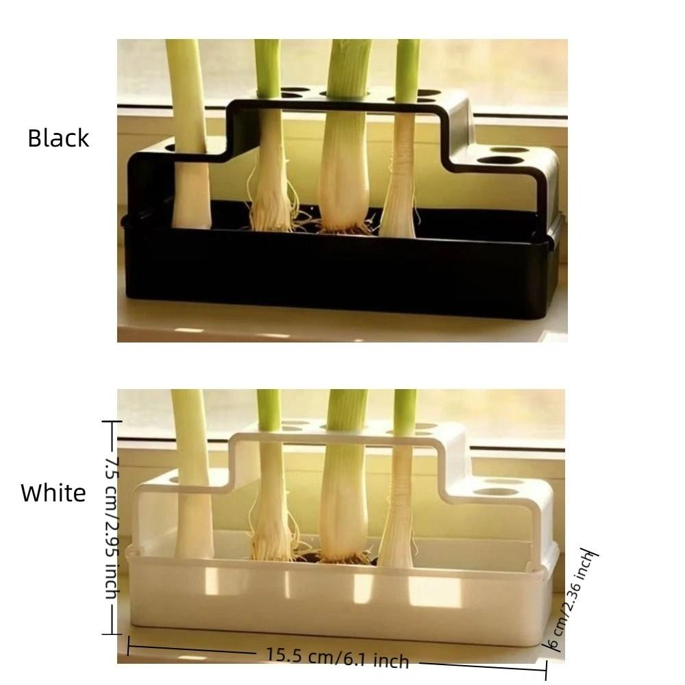 Ventilated Cultivation Pot Plastic Soilless Cultivation Pot  Coriander Planting