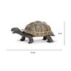 Safari Ltd Фигурка 260829 Черепашка Ториоис Малыш, 1 шт., популярные игрушки в Корее