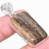 Подарочный кулон из стерлингового серебра 925 пробы с натуральным медовым дендритным камнем 1,81 дюйма u1q39