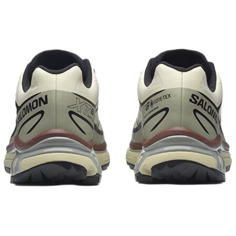 SALOMON Кроссовки унисекс XT-6 GORE-TEX Aspargus Green Tea Chocolate L49202200