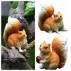 Realistic Squirrel Statue Garden Decoration Squirrel Figurines Exquisite Simulation Squirrel