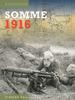 Книга Somme 1916