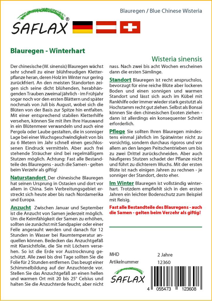 SAFLAX Глициния китайская голубая - 4 семени - Wisteria sinensis