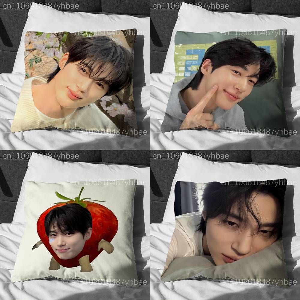 Korea BByeon Woo Seok Cushion Cover Pillow Cover Decor Pillowcase Printed Cushion Case For Couch