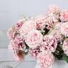 Five Fork Chrysanthemum Имитация цветочной композиции Цветочное украшение для дома Украшение для свадьбы Поддельные цветы Реквизит для фотосъемки