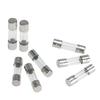 XIZUO Automotive Glass Tube Fuses (100-Pack)