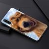 Золотистый ретривер друг для Huawei P30 Lite чехол для телефона Huawei P50 Pro P20 P40 Lite EP Smart Z 2021 Y6p Y9s Y7a 2019 чехол