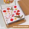 Embosser Flower Press Kit Easy To Use Flower Pressing Collecting Kit DIY Crafts for Preserve Flowers Instantly